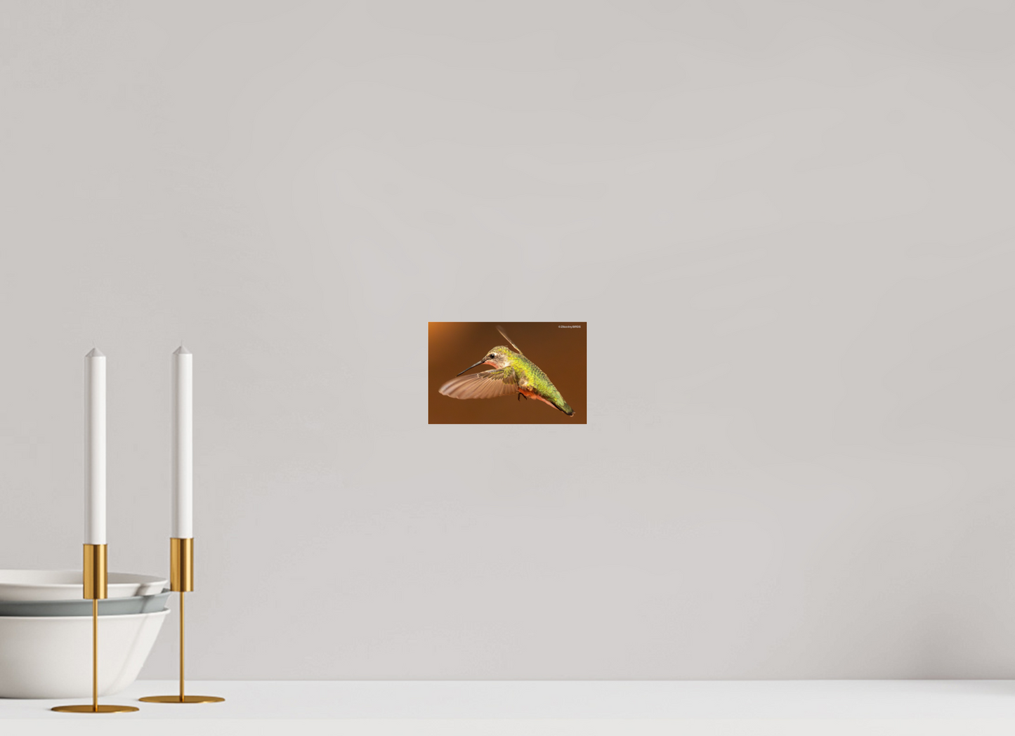 6.2 x 4″, Photo Print Under Acrylic Glass Zillas Zoom Image 330
