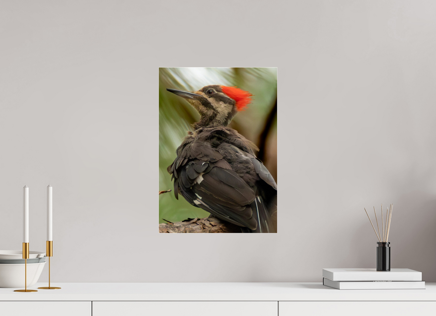 12 x 16.8″, Photo Print Under Acrylic Glass Zillas Zoom Image 443