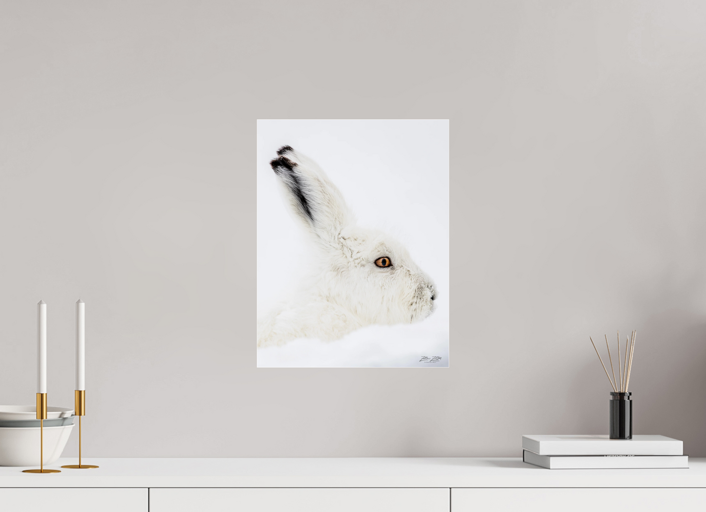 12 x 15.5″, Photo Print Under Acrylic Glass Zillas zoom image 150