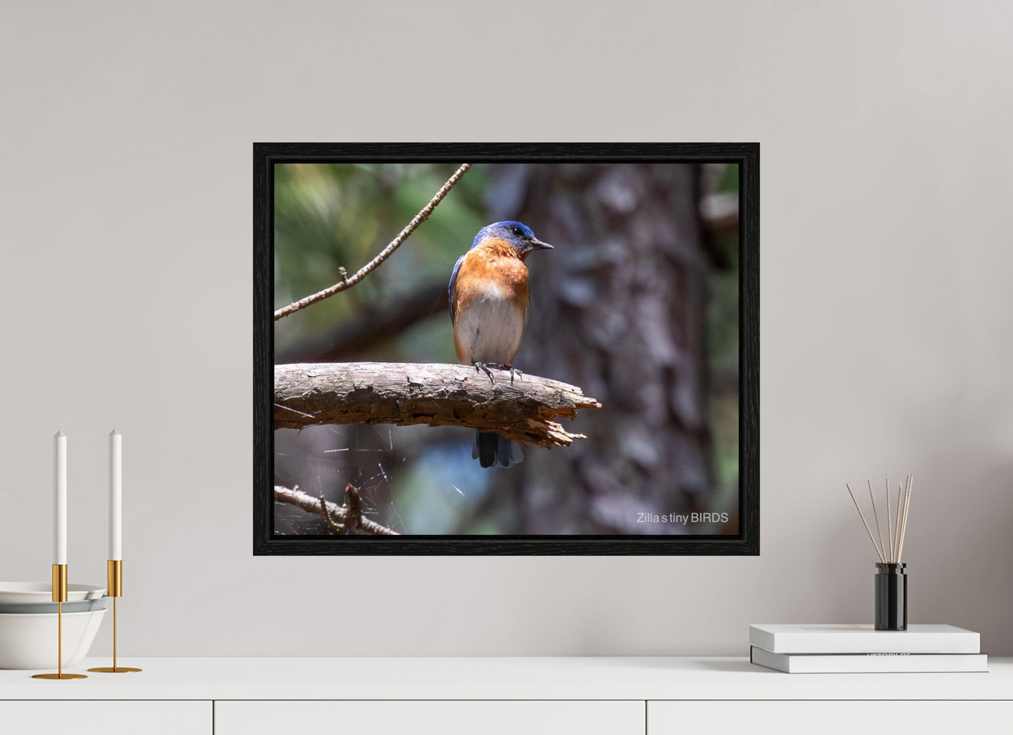 20 x 16″, Floater Frame Zillas Zoom Image 368