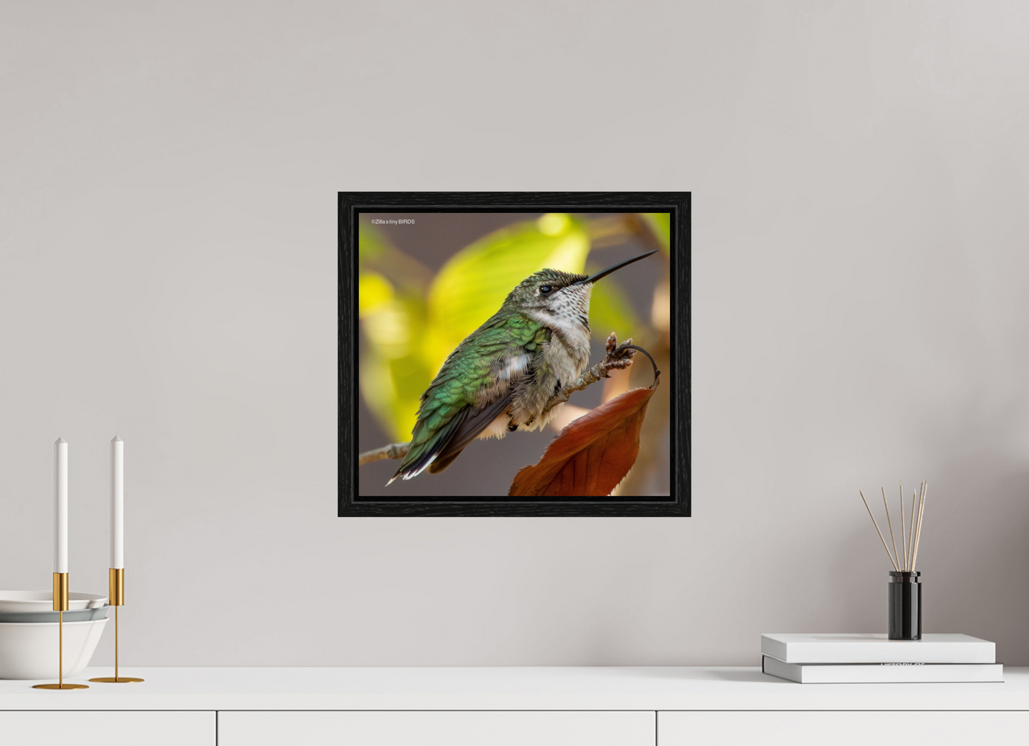 13.2 x 12″, Floater Frame Zillas Zoom Image 347