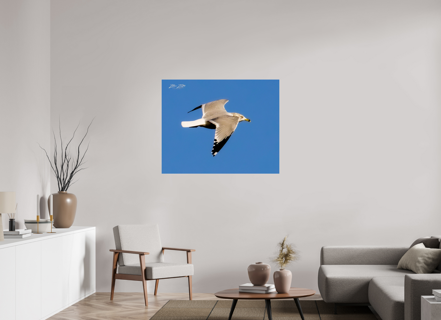 43.7 x 35″, Photo Print Under Acrylic Glass Zillas Zoom Image 266
