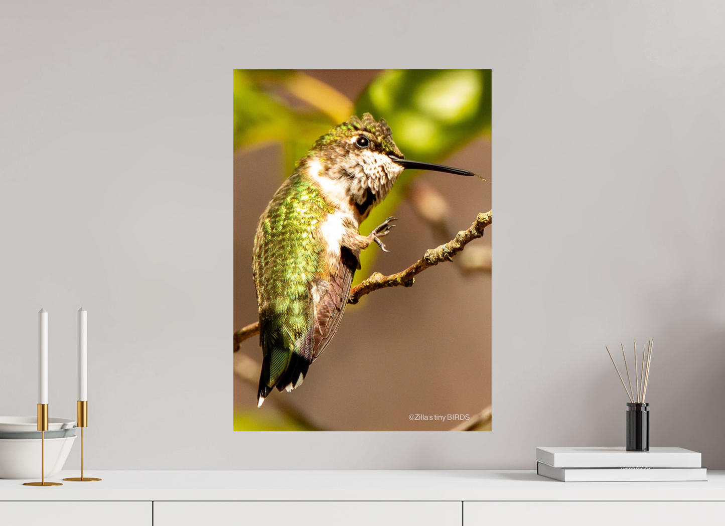16 x 22.4″, Photo Print On Fuji Crystal DP II Zillas Zoom Image 471