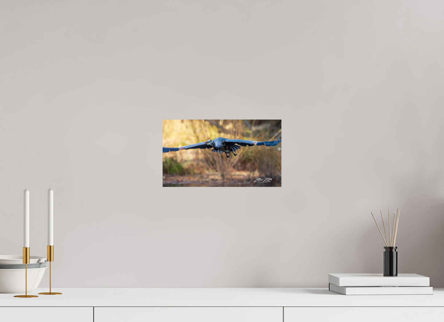 12 x 6.8″, Photo Print On Fuji Crystal DP II Zillas Zoom Image 296