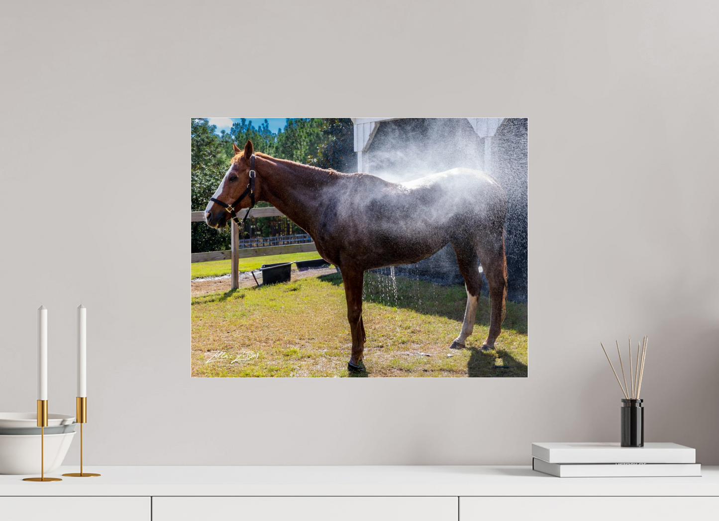 20.7 x 16″, Photo Print Under Acrylic Glass Zillas zoom image 145