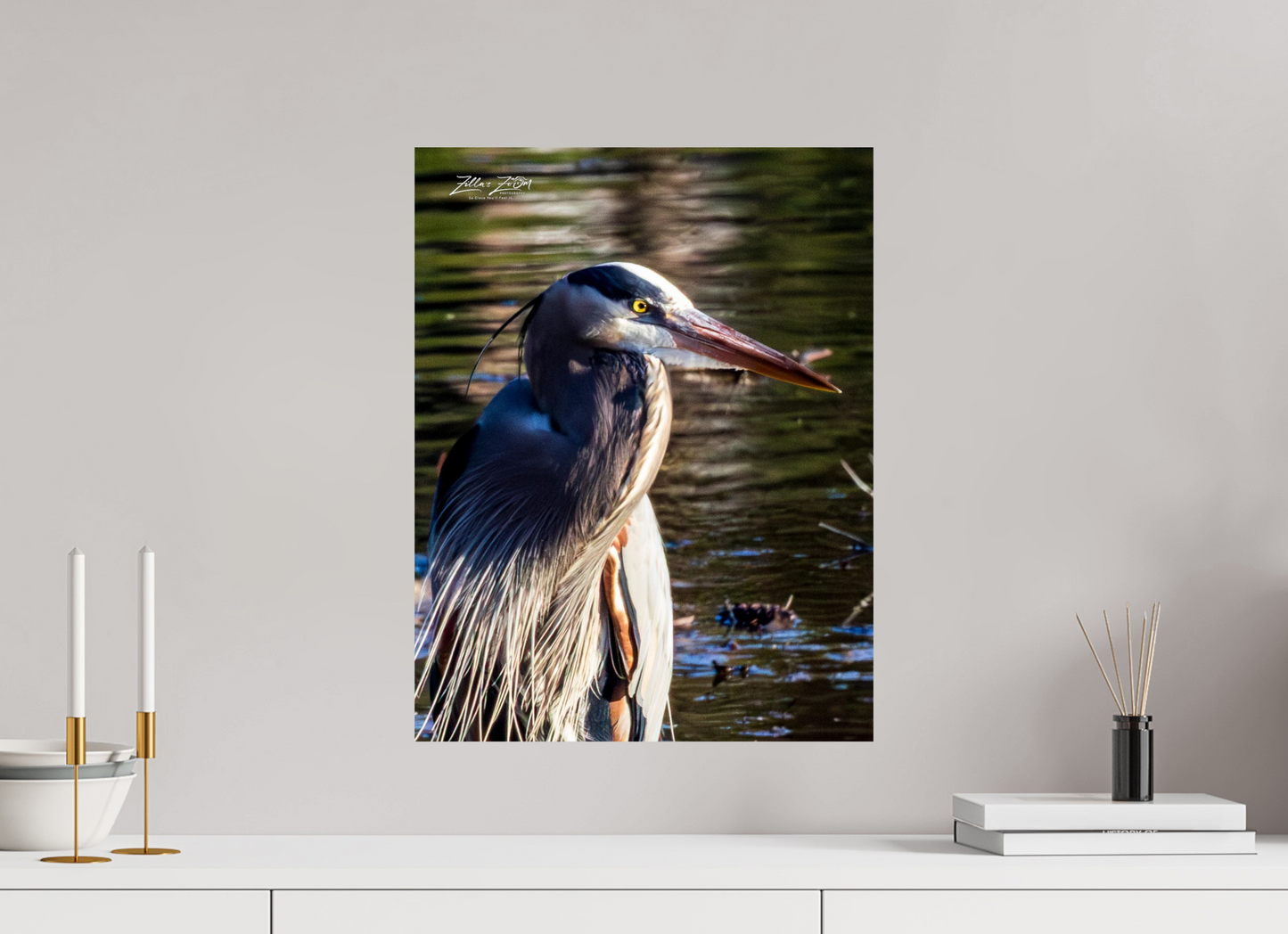 16 x 20.7″, Photo Print On Fuji Crystal DP II Zillas Zoom Image 409