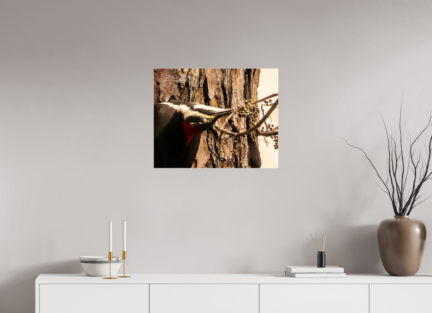 25 x 20″, Photo Print Under Acrylic Glass Zillas Zoom Image 280