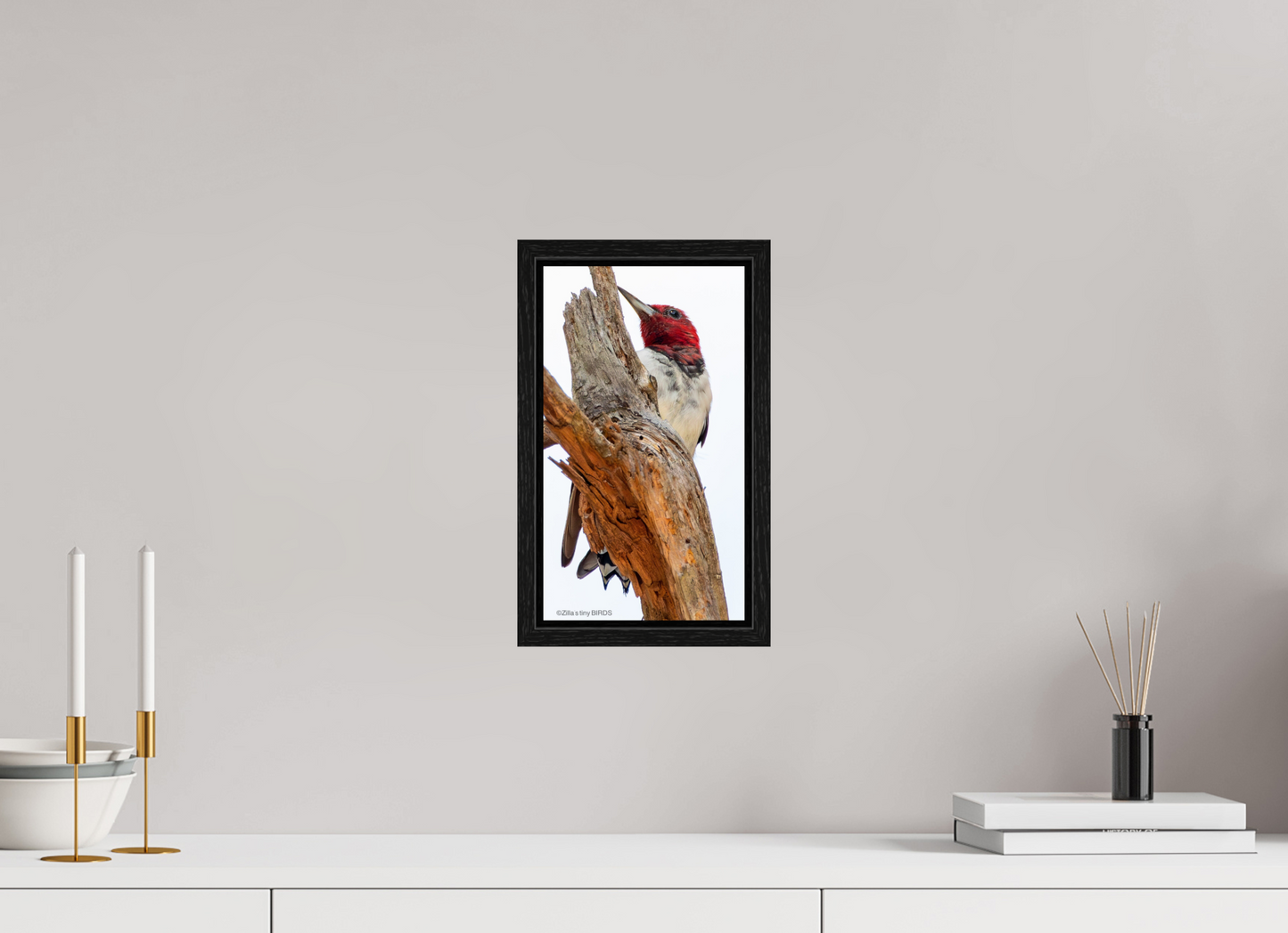 6.8 x 12″, Floater Frame Zillas Zoom Image 439