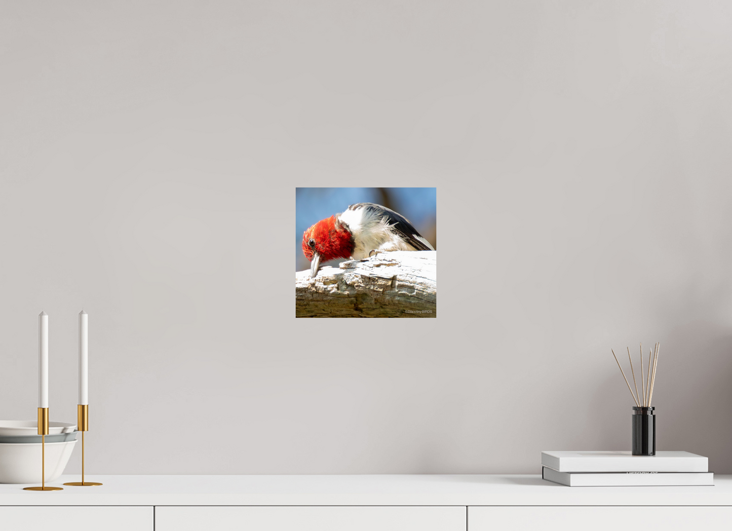 8.6 x 8″, Photo Print On Fuji Crystal DP II Zillas Zoom Image 270