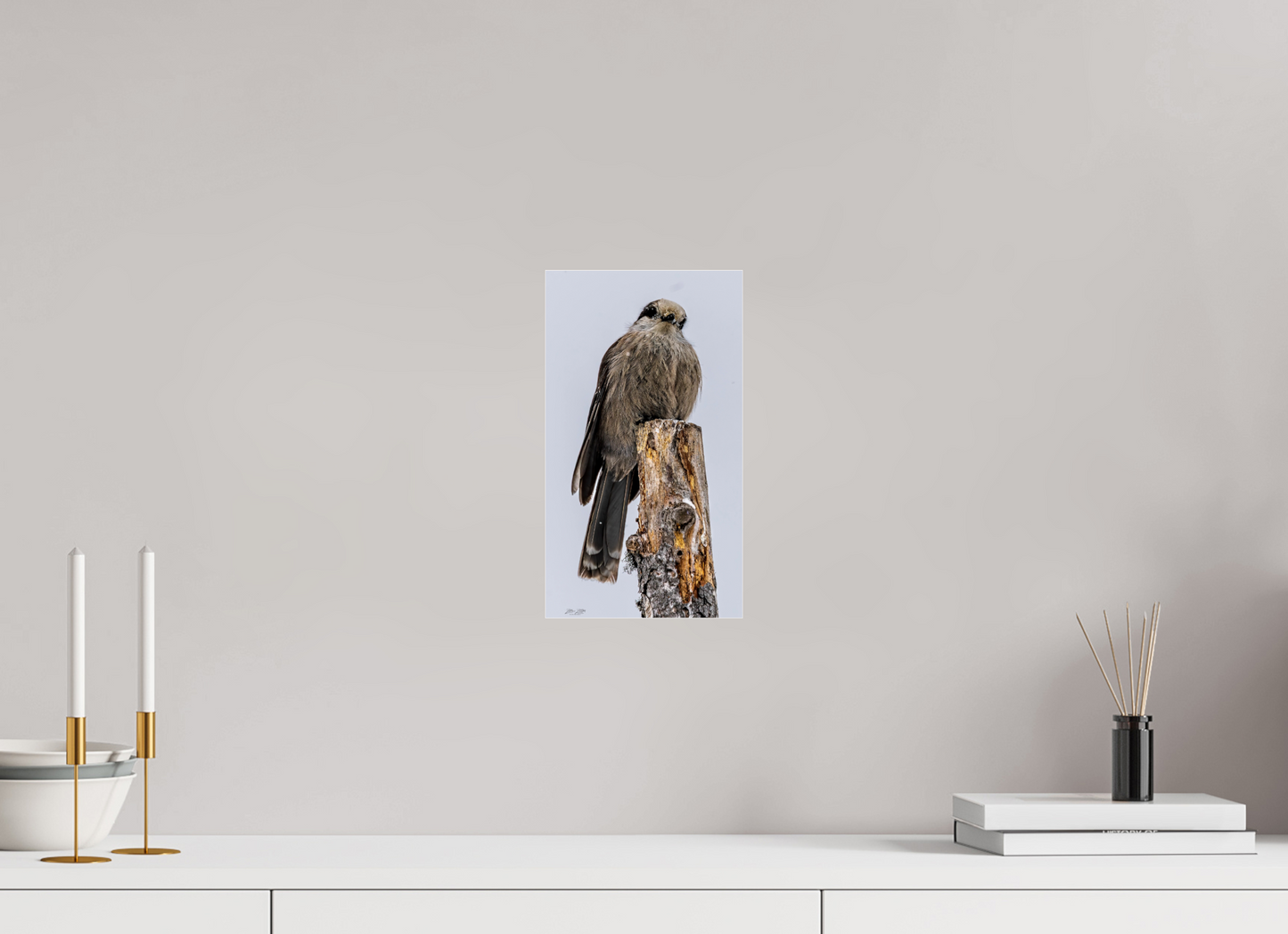 6.8 x 12″, Photo Print Under Acrylic Glass Zillas Zoom Image 464