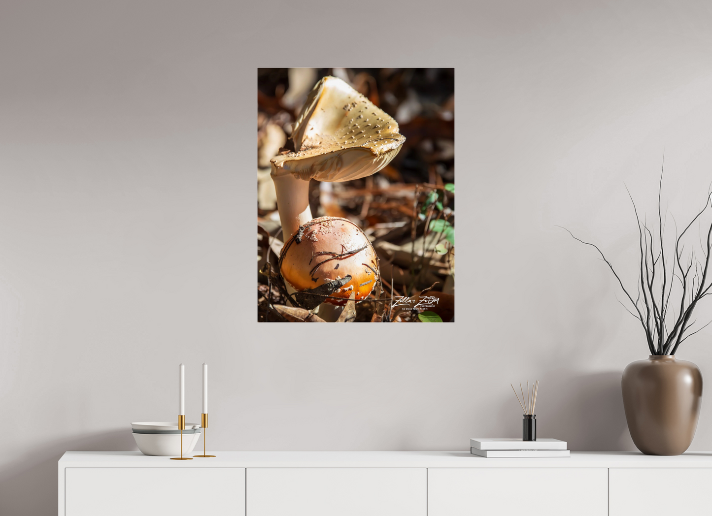 24 x 31.1″, Photo Print Under Acrylic Glass Zillas Zoom Image 116