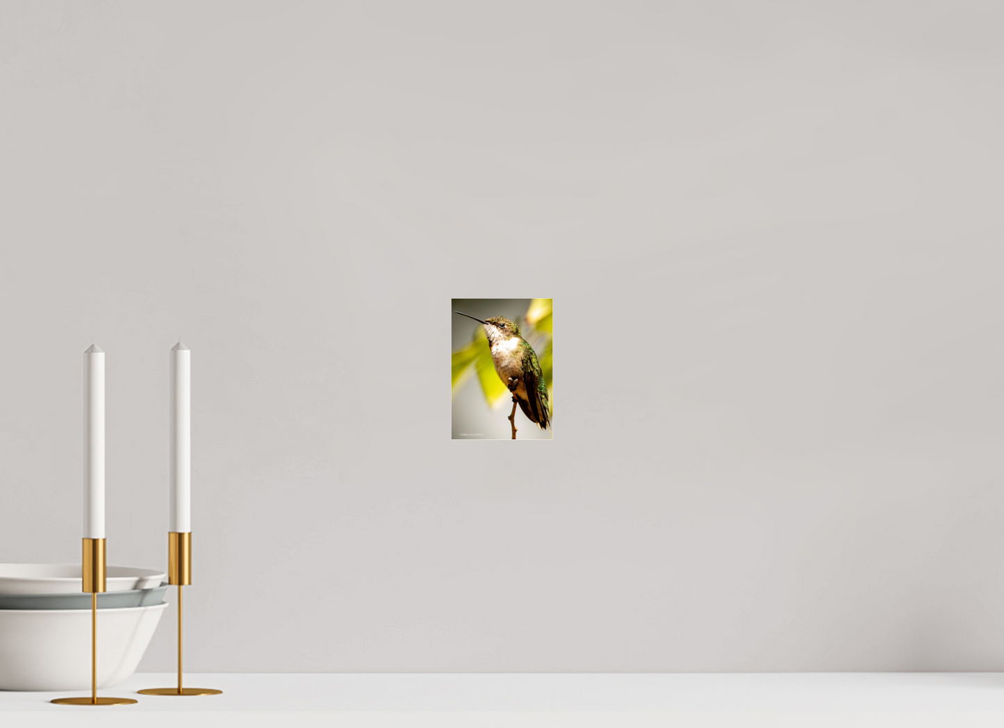4 x 5.6″, Photo Print Under Acrylic Glass Zillas Zoom Image 473