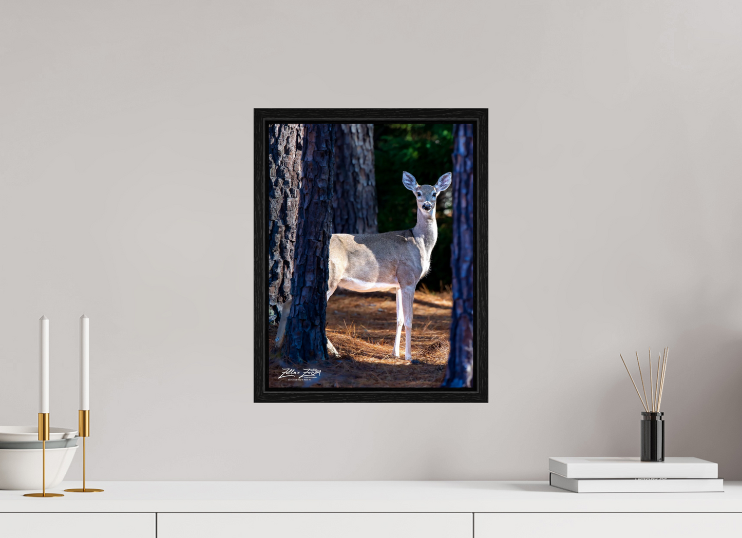 12 x 15.5″, Floater Frame Zillas zoom image 154