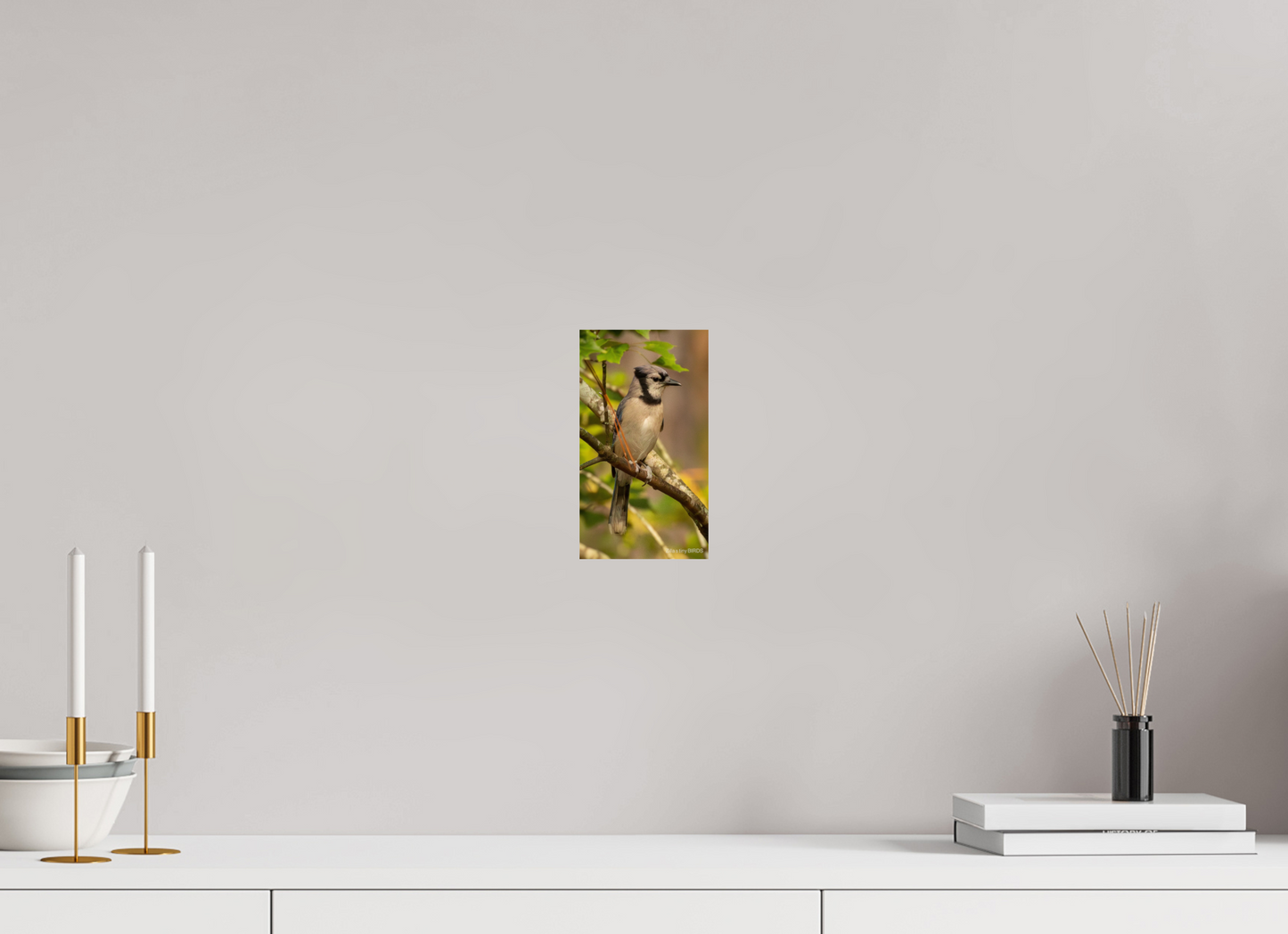 4.5 x 8″, Photo Print On Fuji Crystal DP II Zillas Zoom Image 491