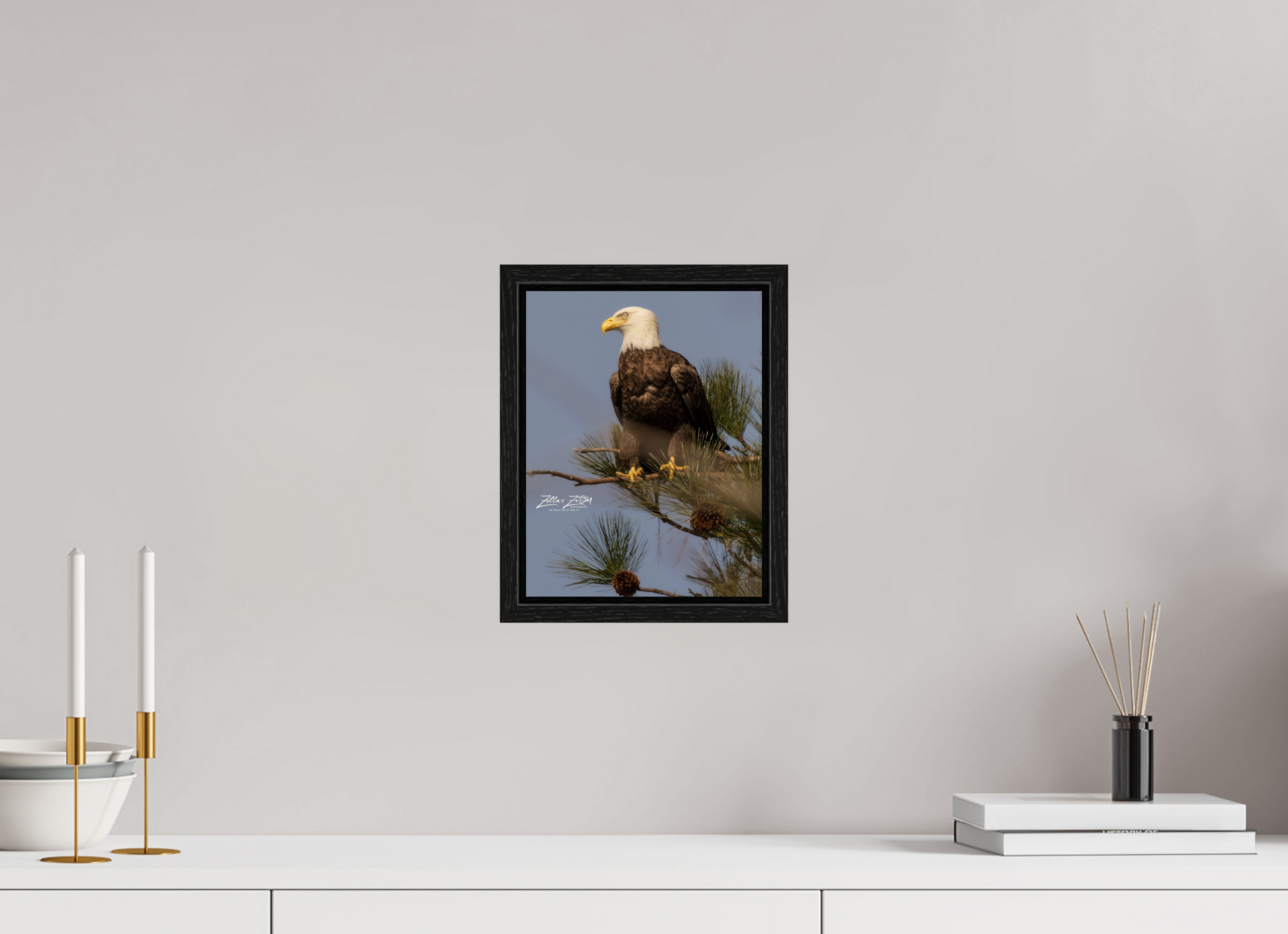 8 x 10.4″, Floater Frame Zillas Zoom Image 413