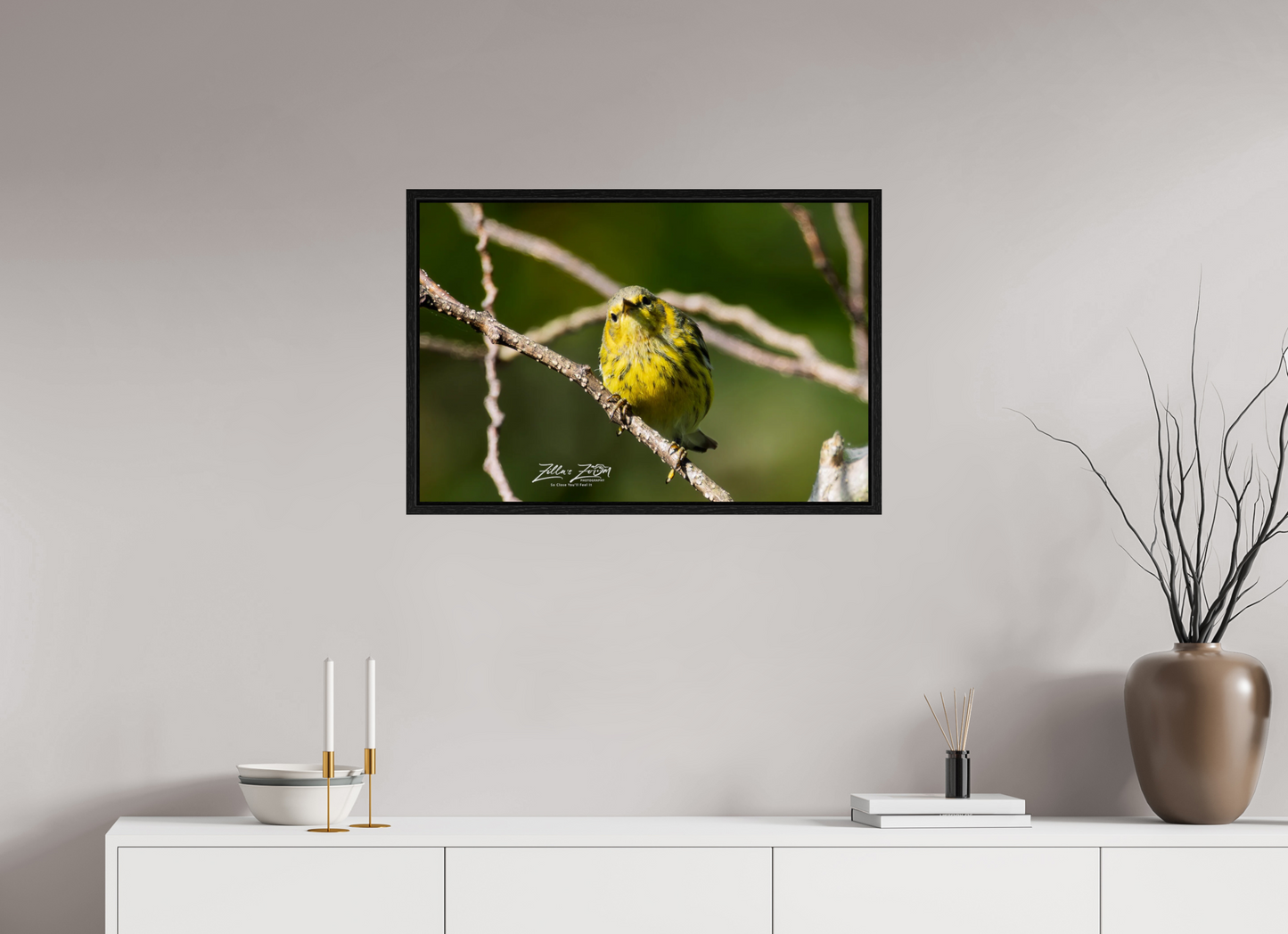 30 x 20″, Floater Frame Zillas Zoom Image 307