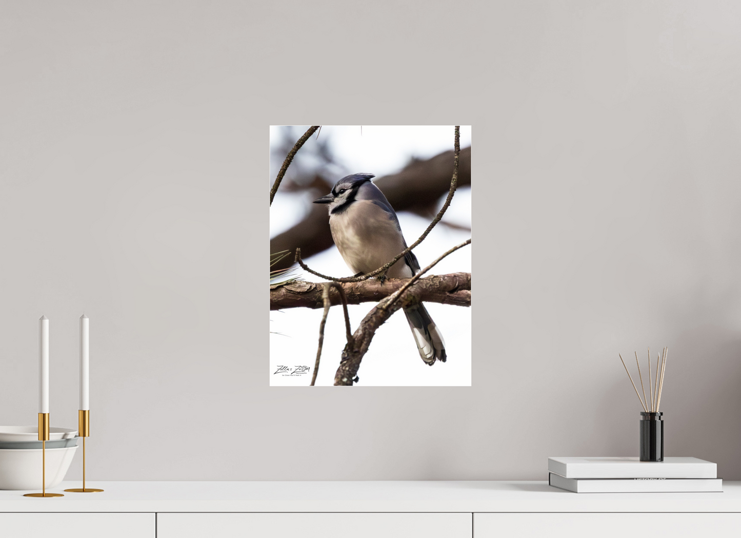 12 x 15.5″, Photo Print Under Acrylic Glass Zillas Zoom Image 455