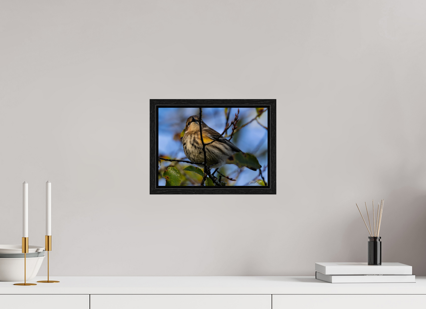 11.2 x 8″, Floater Frame Zillas Zoom Image 356