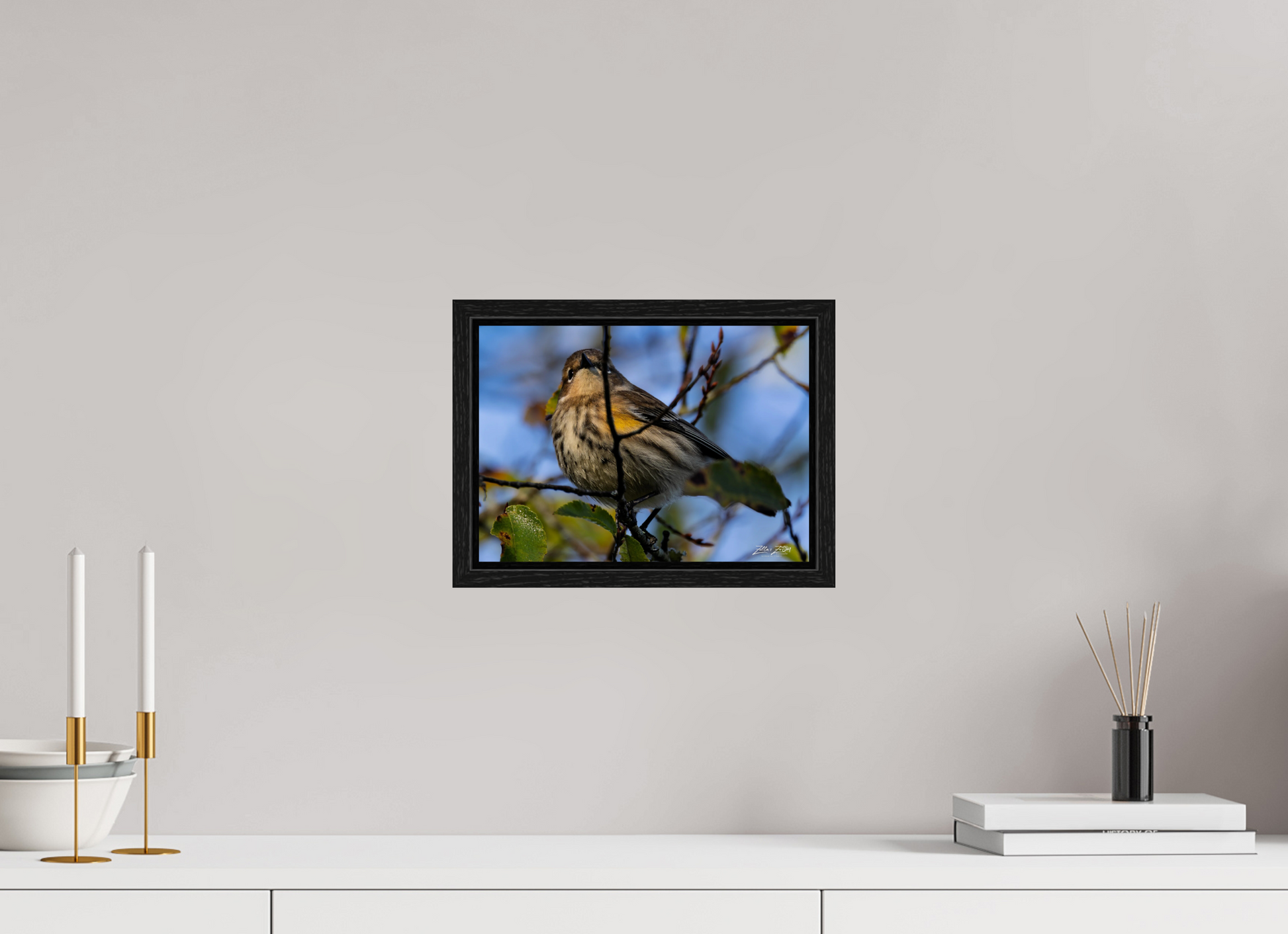 11.2 x 8″, Floater Frame Zillas Zoom Image 356