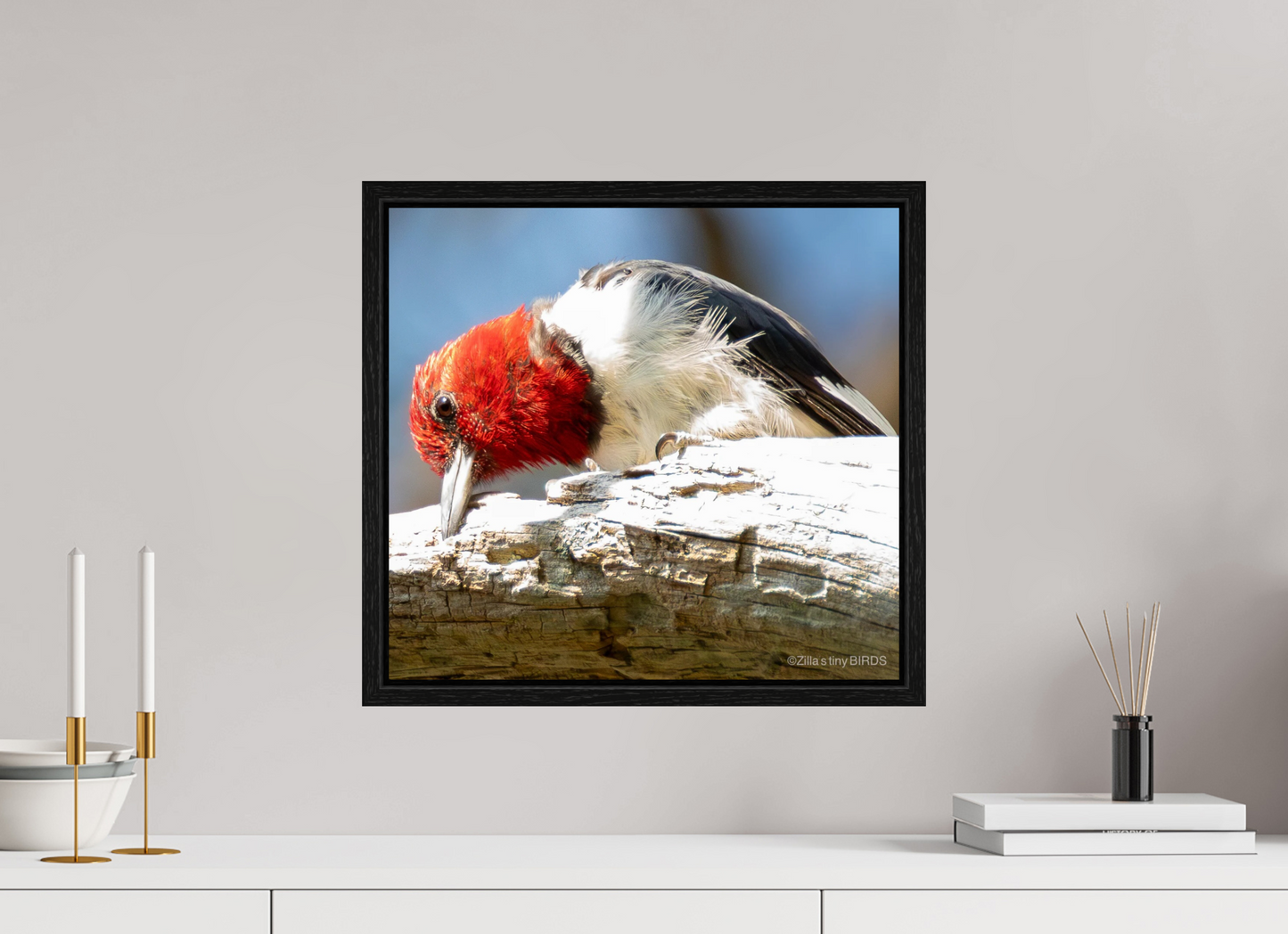17.3 x 16″, Floater Frame Zillas Zoom Image 270