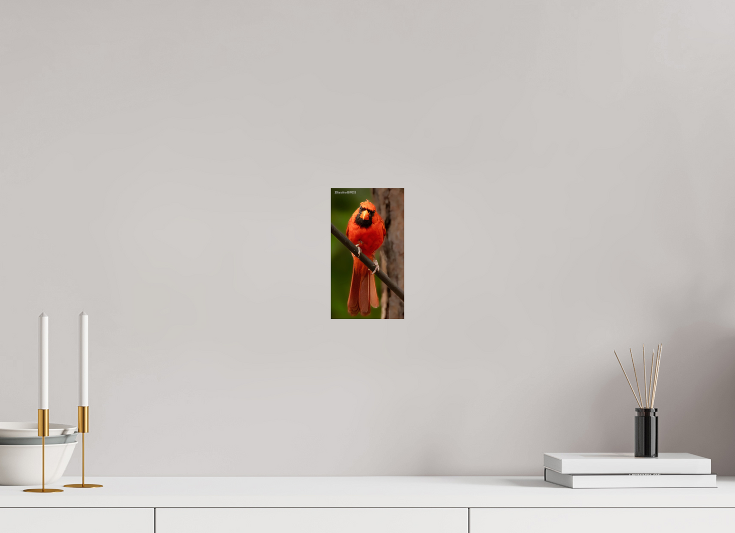 4.5 x 8″, Photo Print On Fuji Crystal DP II Zillas Zoom Image 484