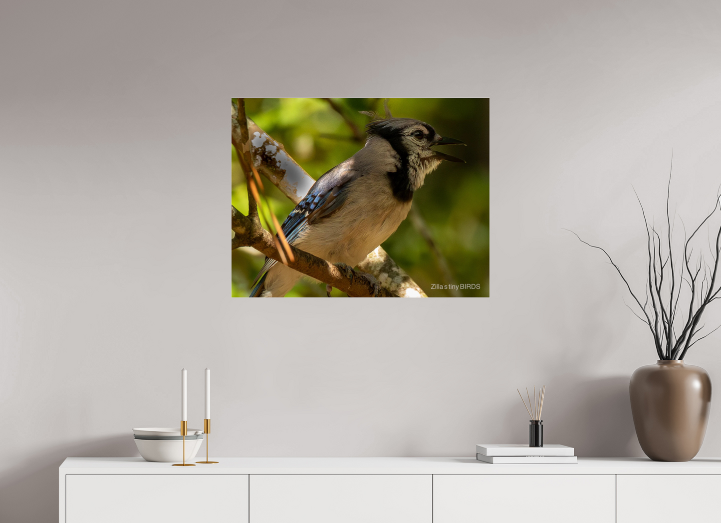 31.1 x 24″, Photo Print Under Acrylic Glass Zillas Zoom Image 378