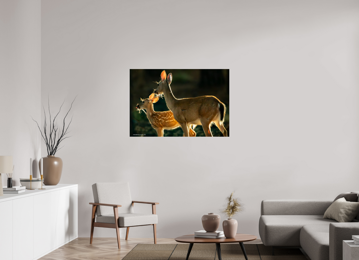 45.5 x 31″, Photo Print Under Acrylic Glass Zillas zoom image 146