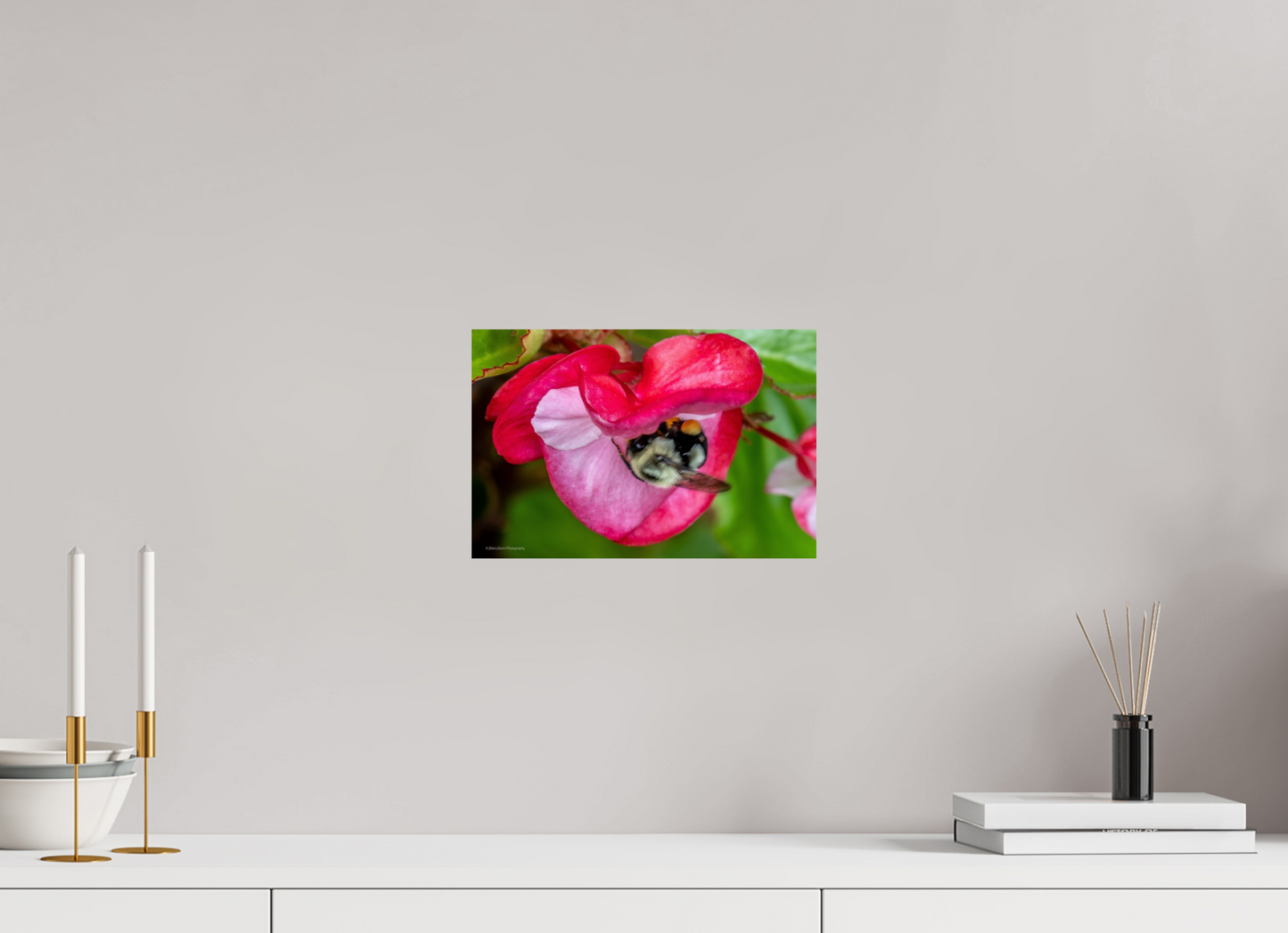 12 x 8″, Photo Print On Fuji Crystal DP II Zillas Zoom Image 101
