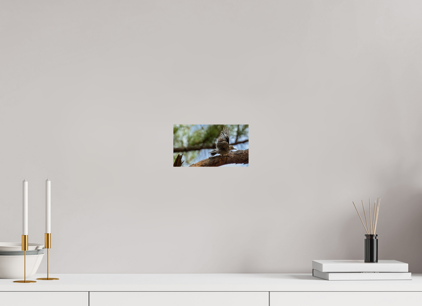 8 x 4.5″, Photo Print On Fuji Crystal DP II Zillas Zoom Image 388