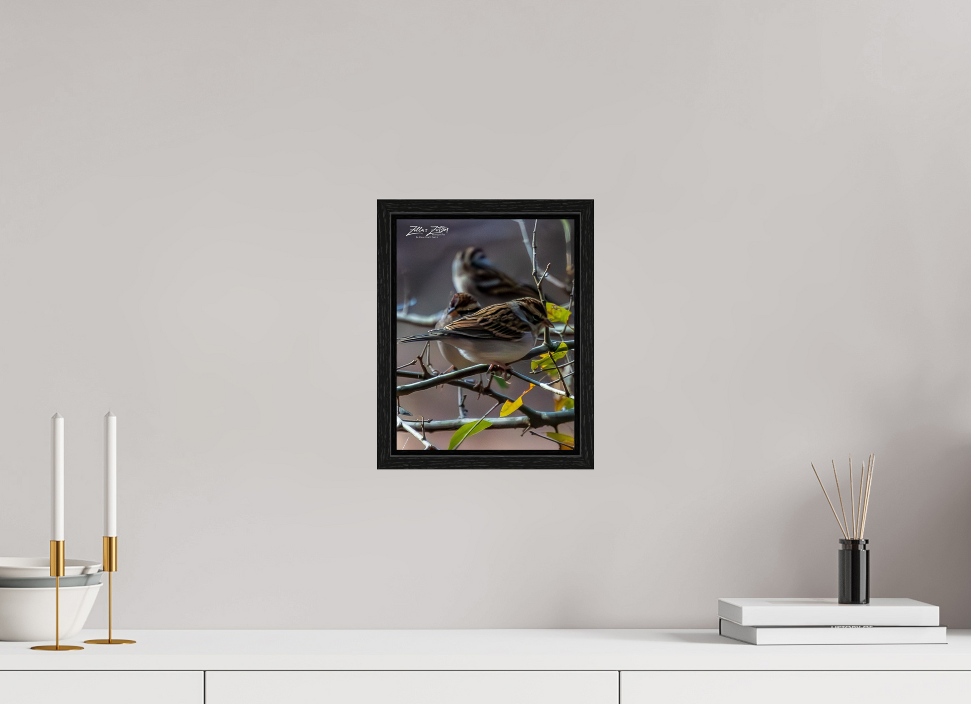 8 x 10.4″, Floater Frame Zillas Zoom Image 427
