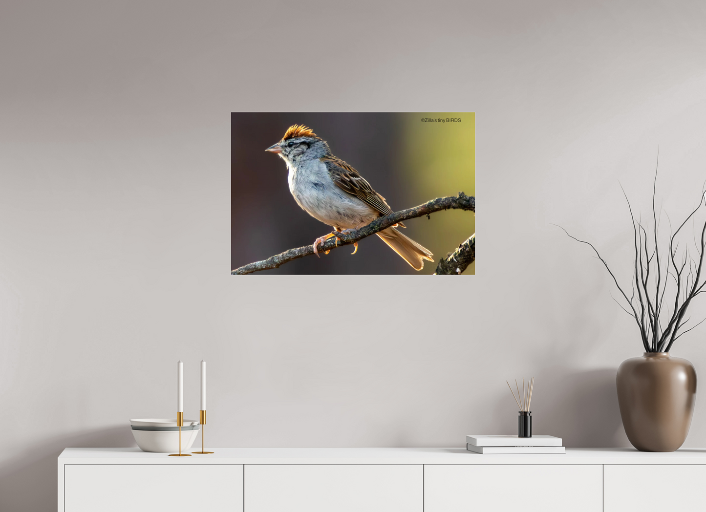 30 x 20″, Photo Print Under Acrylic Glass Zillas Zoom Image 308