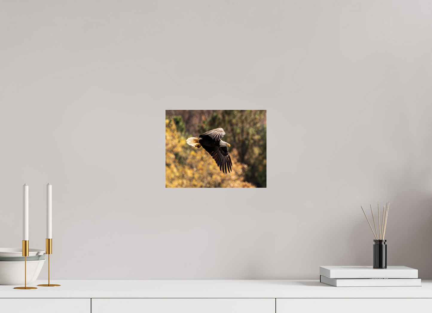 10.4 x 8″, Photo Print Under Acrylic Glass Zillas Zoom Image 395