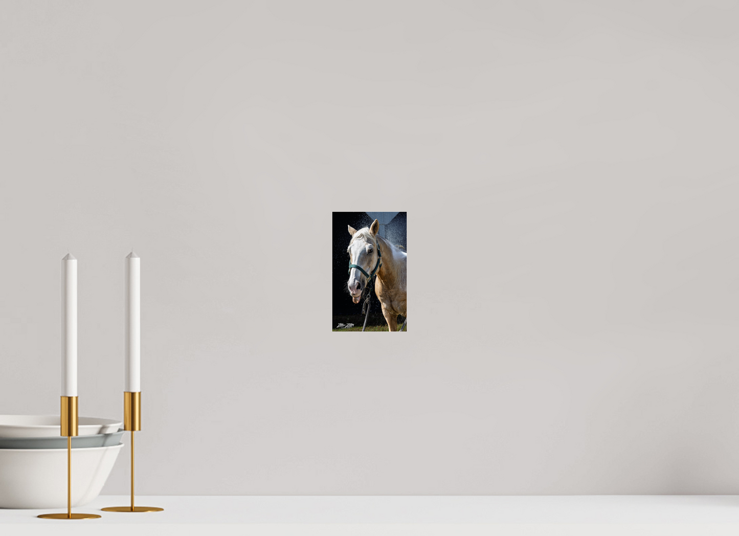 4 x 6.5″, Photo Print Under Acrylic Glass Zillas zoom image 156