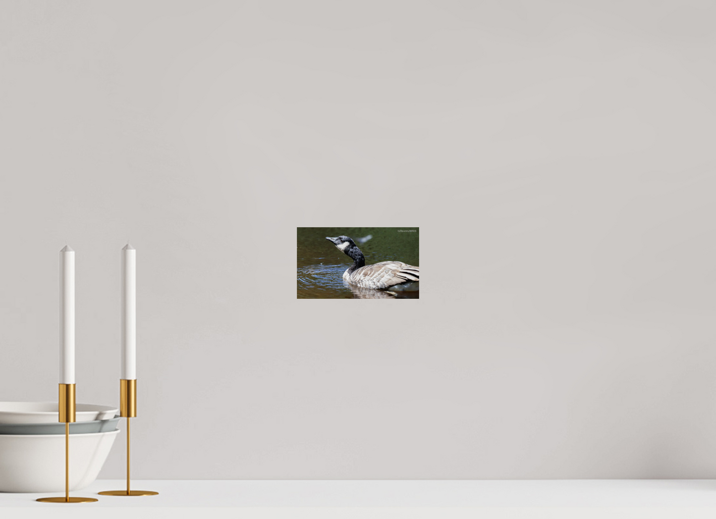 6.9 x 4″, Photo Print On Fuji Crystal DP II Zillas Zoom Image 315