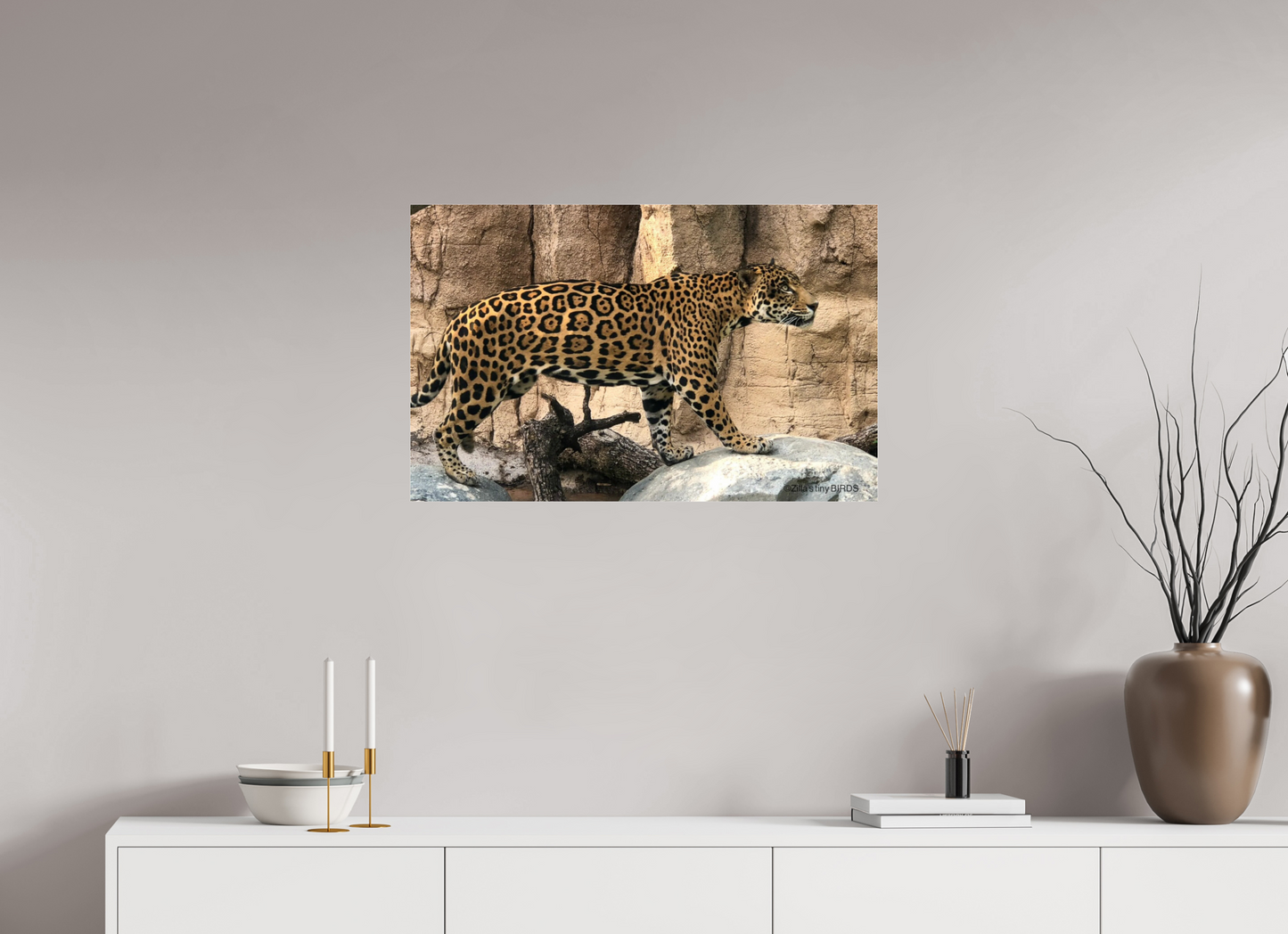 31.5 x 20″, Photo Print Under Acrylic Glass Zillas zoom image 139
