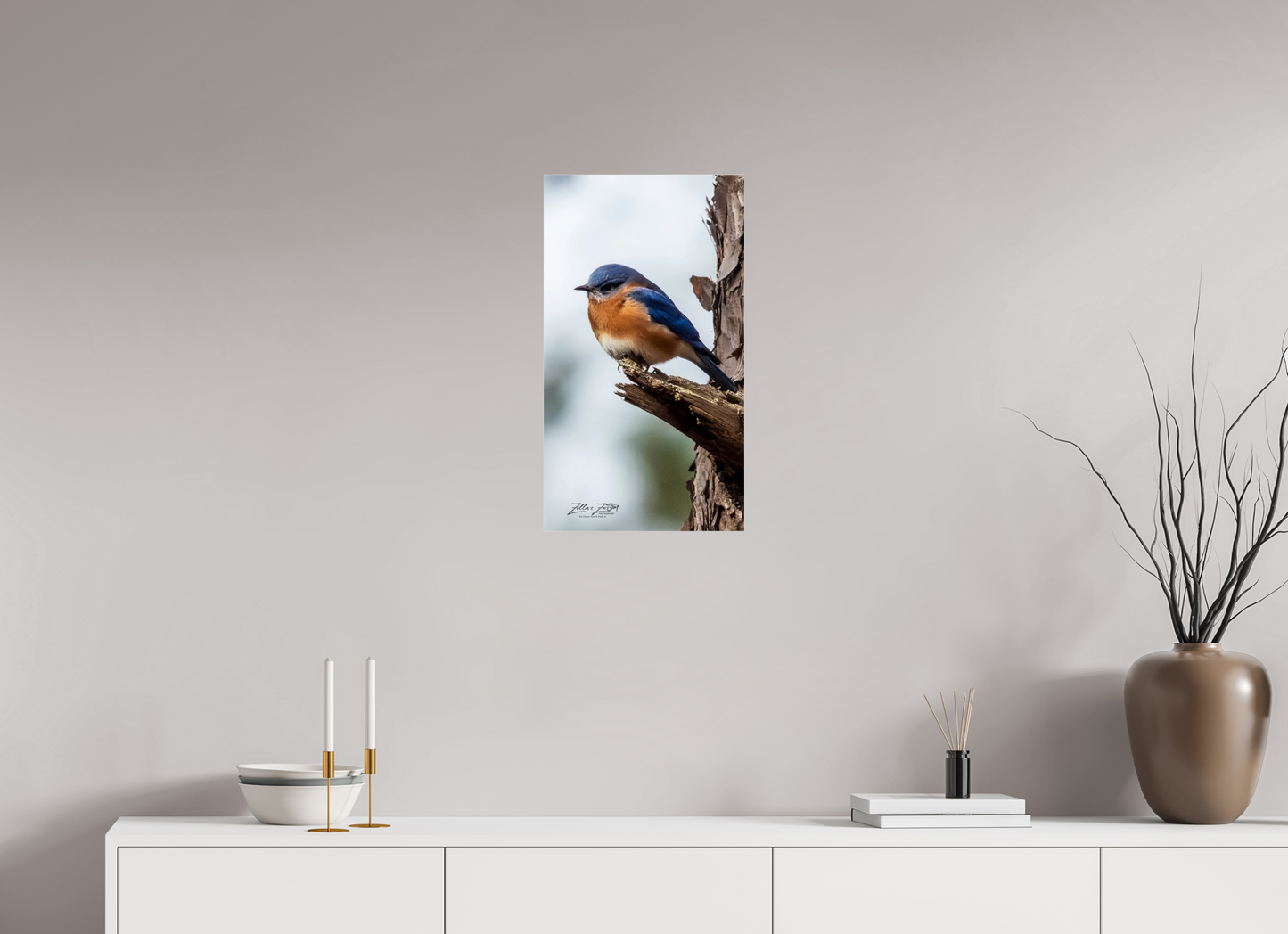 13.5 x 24″, Photo Print Under Acrylic Glass Zillas Zoom Image 458