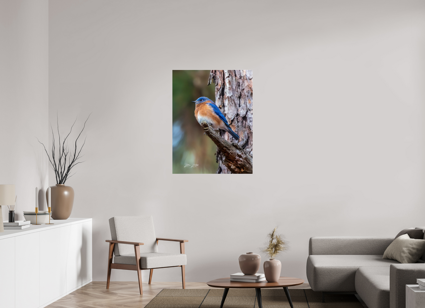 31 x 40.1″, Photo Print Under Acrylic Glass Zillas Zoom Image 512