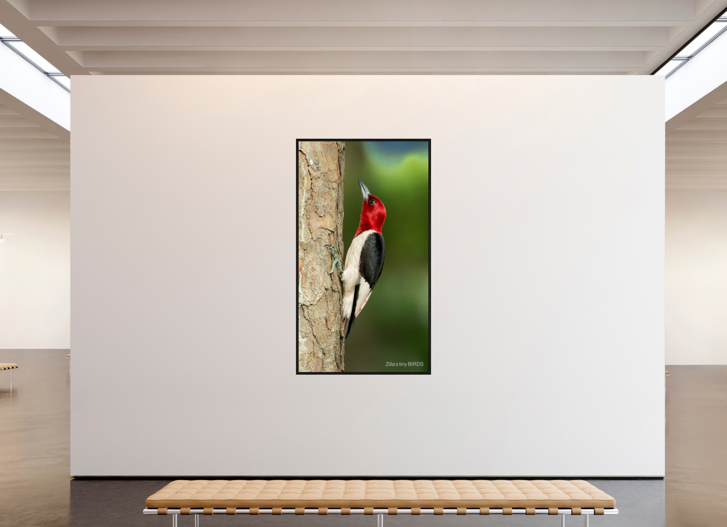 45 x 80″, Floater Frame Zillas Zoom Image 492