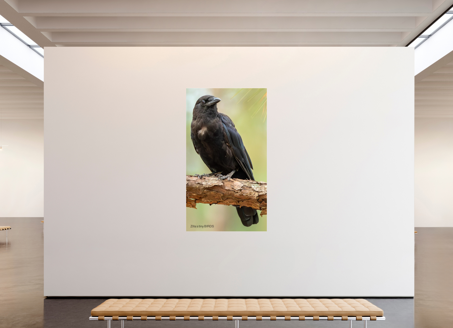 45 x 80″, Photo Print Under Acrylic Glass Zillas Zoom Image 479