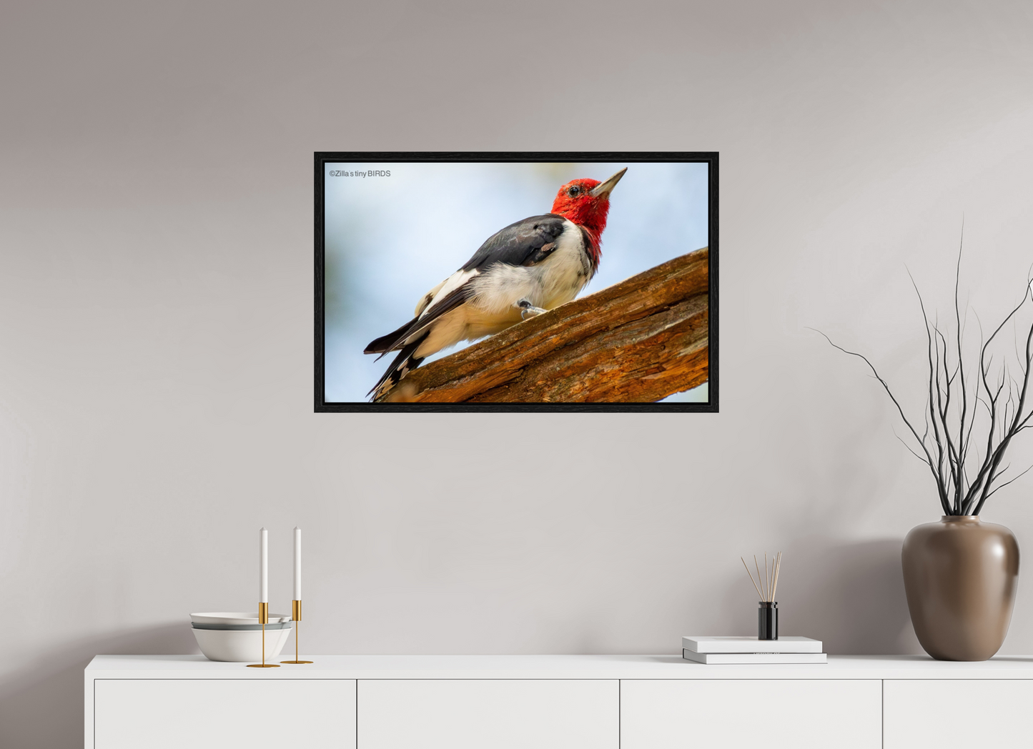 32 x 20″, Floater Frame Zillas Zoom Image 328