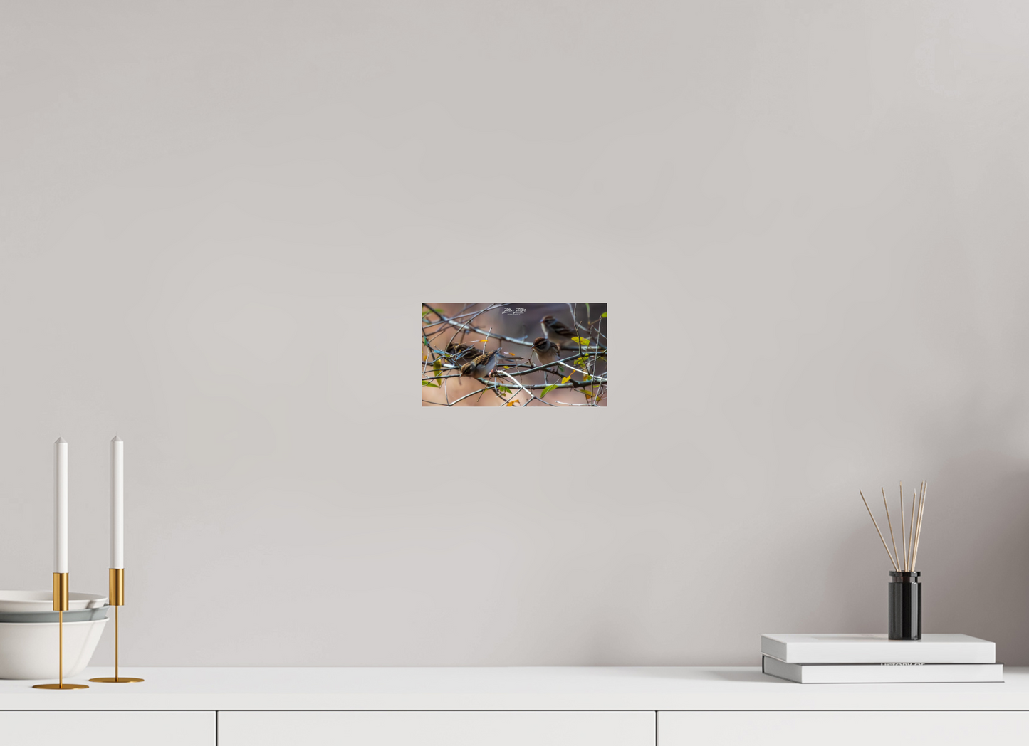 8 x 4.5″, Photo Print Under Acrylic Glass Zillas Zoom Image 304