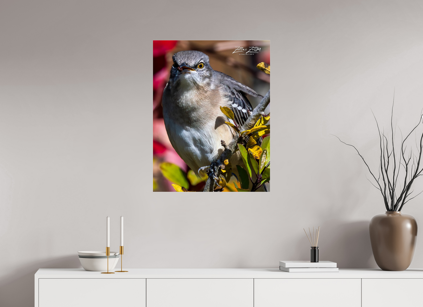 24 x 31.1″, Photo Print Under Acrylic Glass Zillas Zoom Image 402