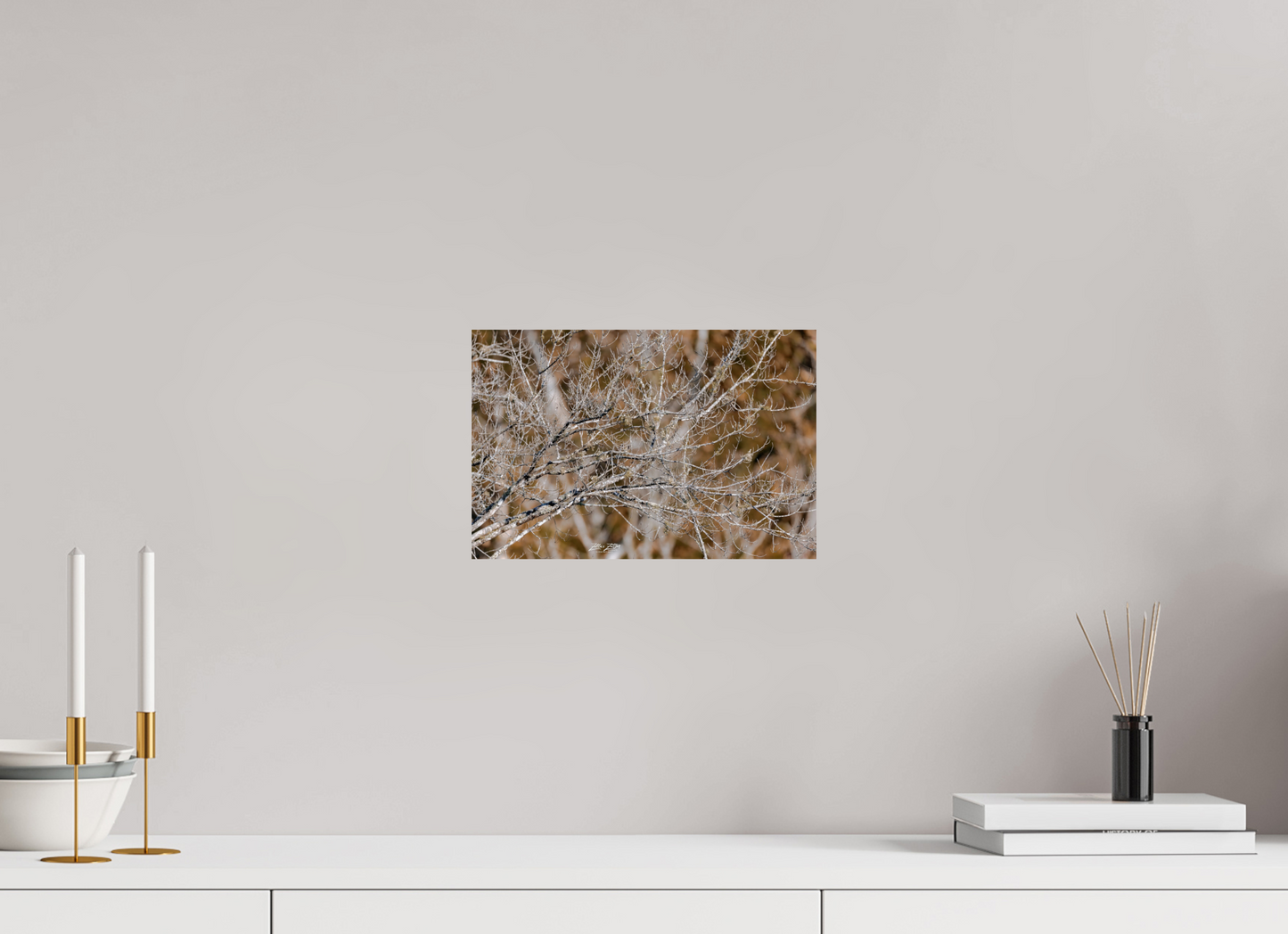 12 x 8″, Photo Print On Fuji Crystal DP II Zillas Zoom Image 235