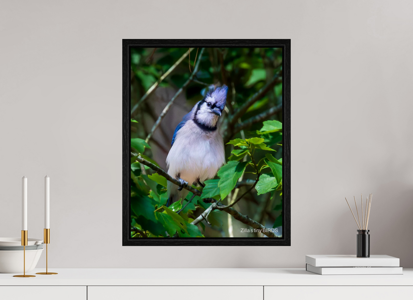 16 x 20″, Floater Frame Zillas Zoom Image 497
