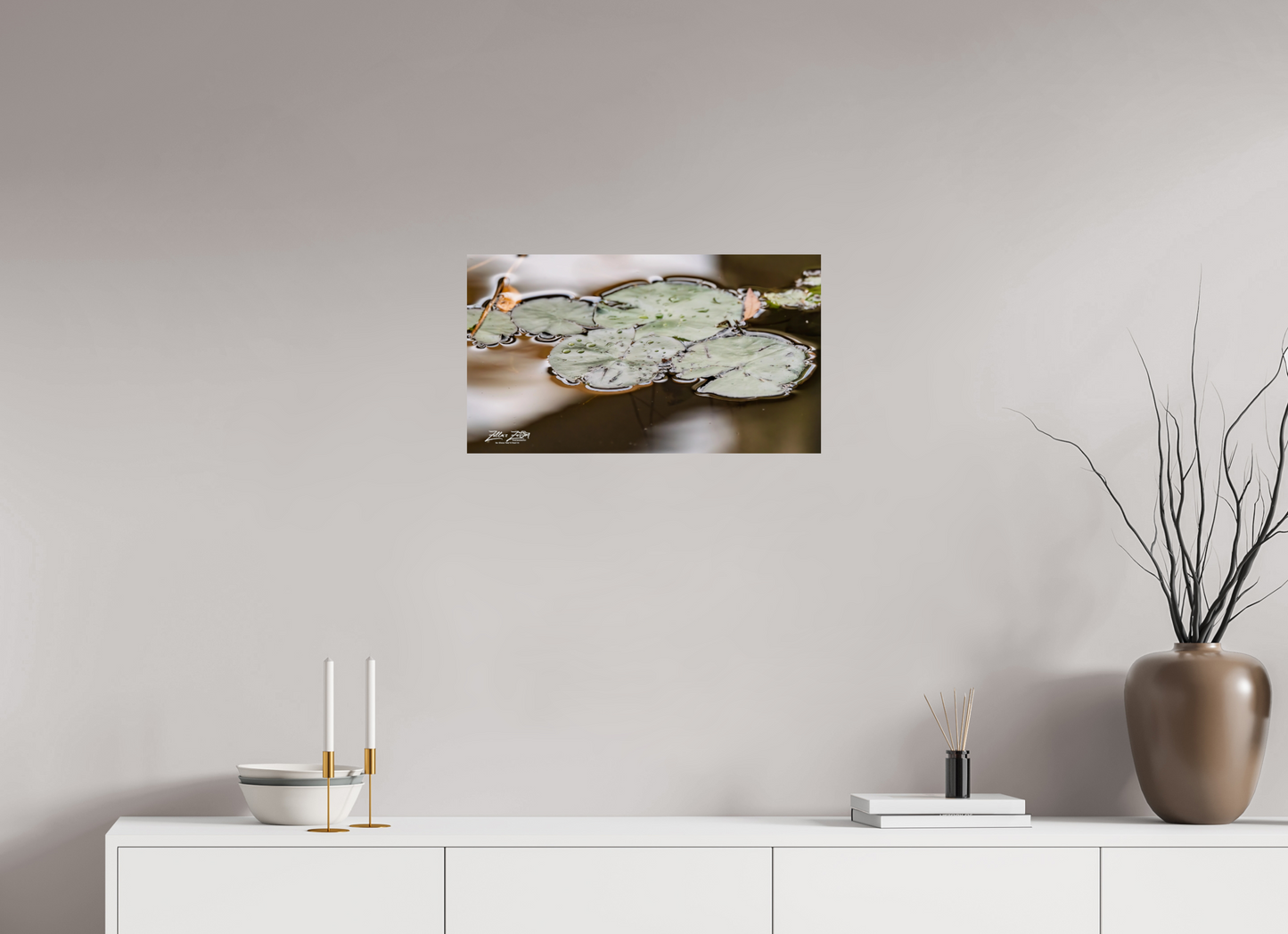 24 x 13.5″, Photo Print On Fuji Crystal DP II Zillas Zoom Image 89