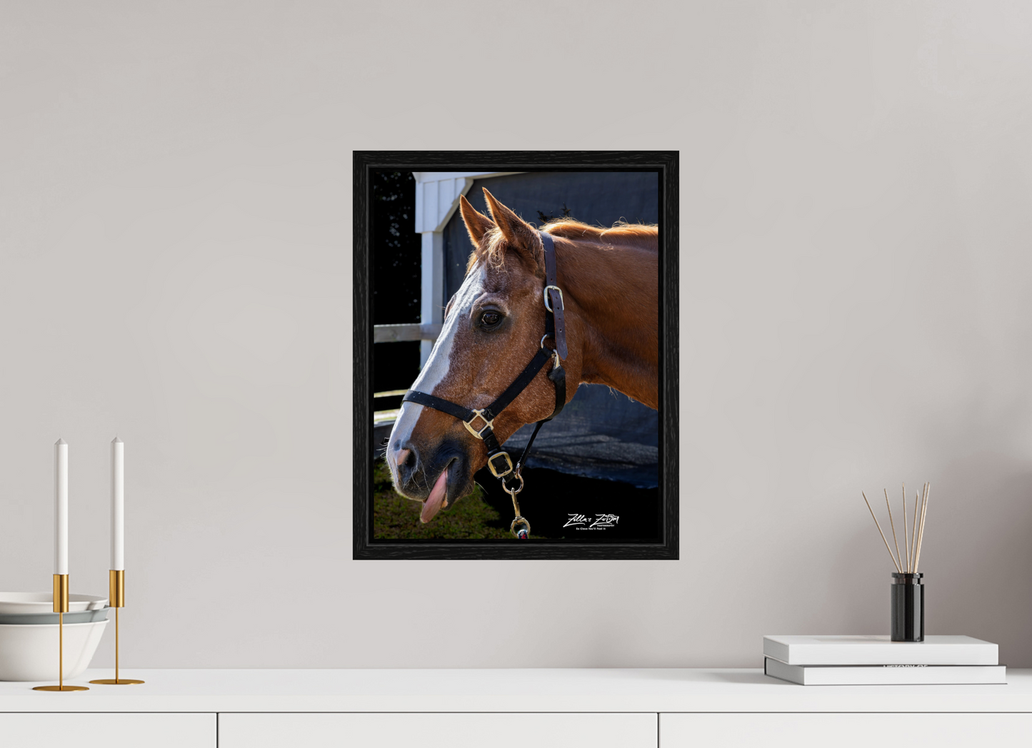 12 x 15.5″, Floater Frame Zillas zoom image 157