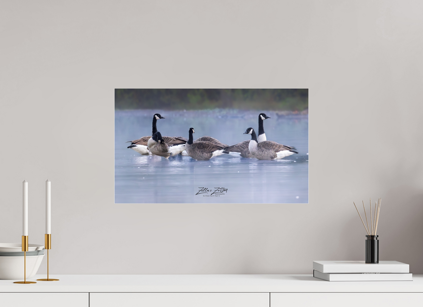 20.3 x 12″, Photo Print Under Acrylic Glass Zillas Zoom Image 313