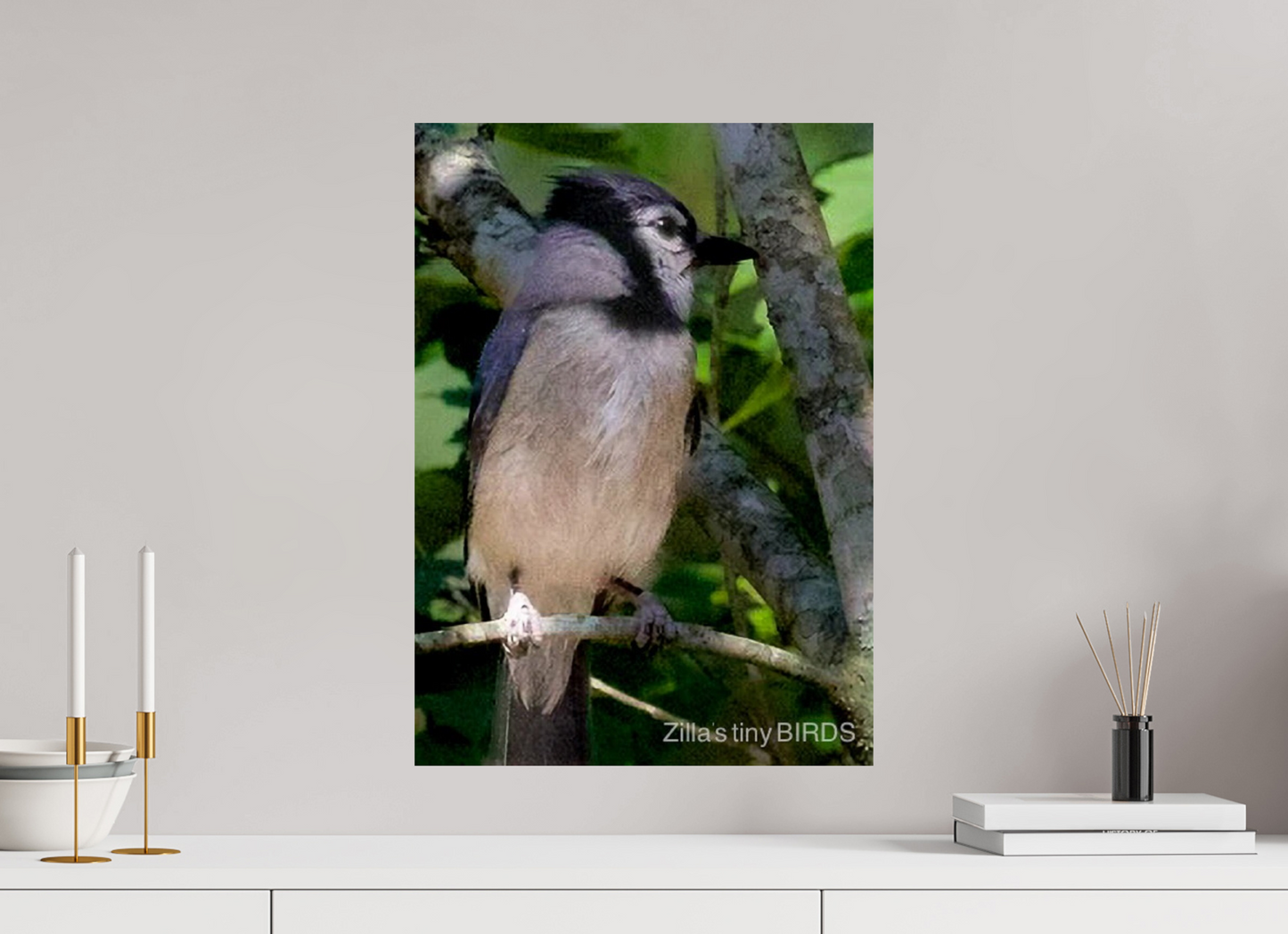 16 x 22.4″, Photo Print On Fuji Crystal DP II Zillas Zoom Image 470