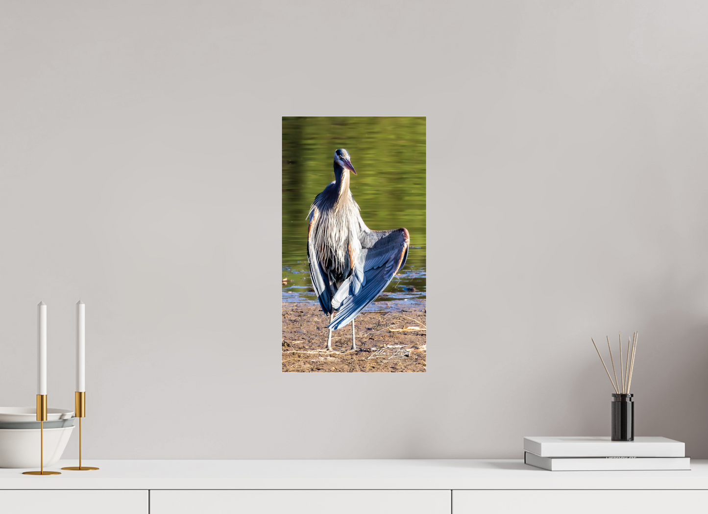 9 x 16″, Photo Print Under Acrylic Glass Zillas Zoom Image 411