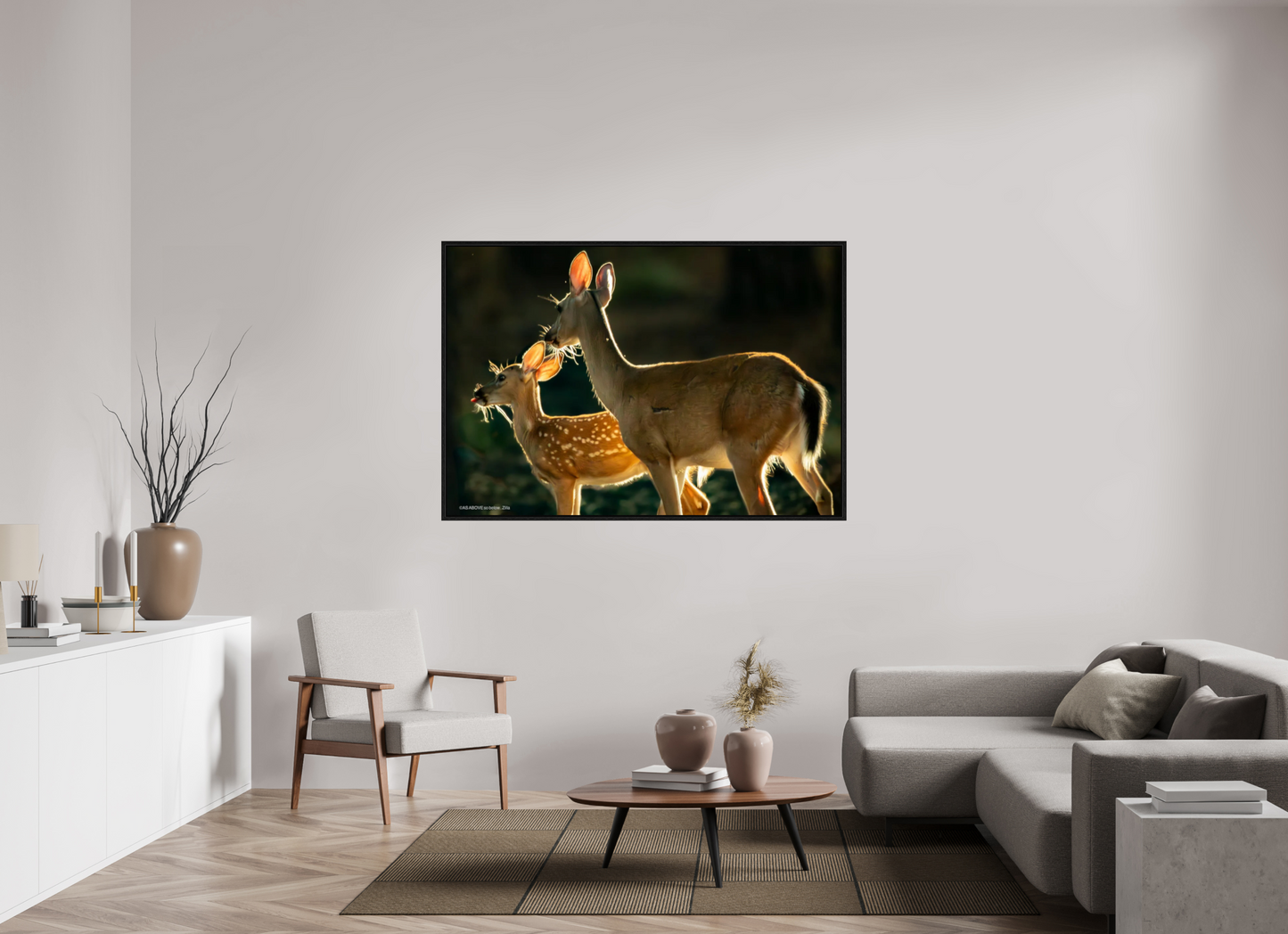 63.1 x 43″, Floater Frame Zillas zoom image 146